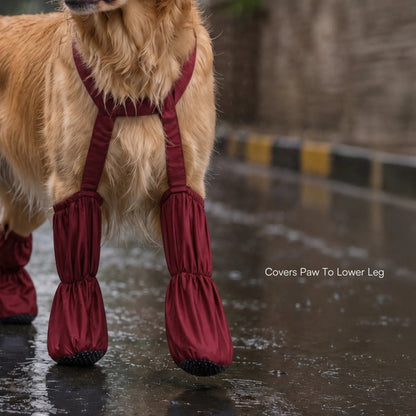 🎁Last Day 49% OFF | Pet Suspender Boots