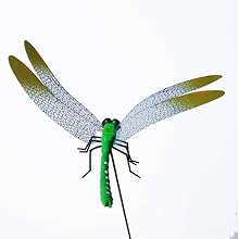 2026 Summer Hot Sale 49% OFF🔥Dragonfly Clip Bug Repe Llent
