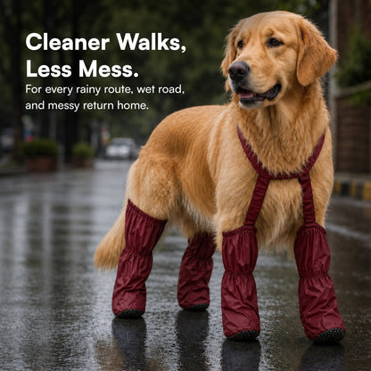 🎁Last Day 49% OFF | Pet Suspender Boots