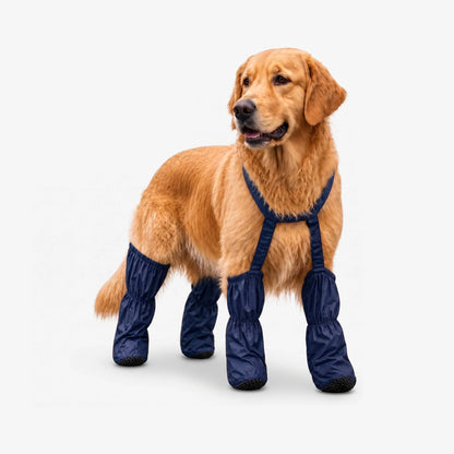 🎁Last Day 49% OFF | Pet Suspender Boots
