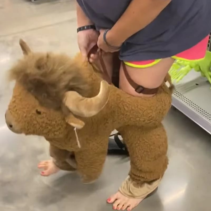 🔥🐂Ride-On Highland Cow Outfit – Humorous Plush Animal Costume
