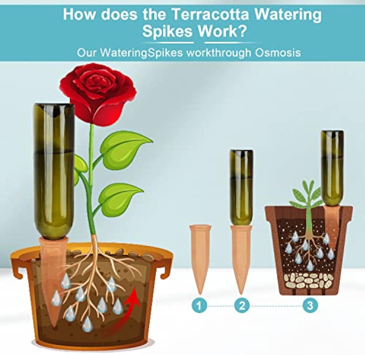🔥Last Day Promo: 67% OFF -Terracotta Self Watering Spikes