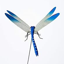 2026 Summer Hot Sale 49% OFF🔥Dragonfly Clip Bug Repe Llent