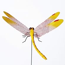 2026 Summer Hot Sale 49% OFF🔥Dragonfly Clip Bug Repe Llent