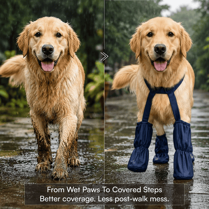 🎁Last Day 49% OFF | Pet Suspender Boots