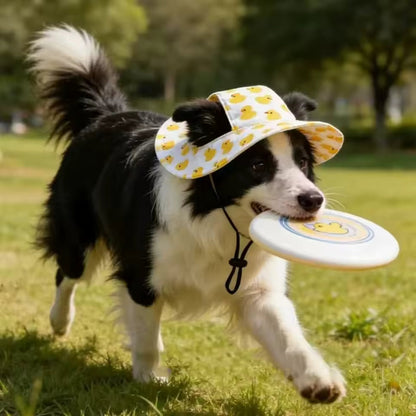 💥The Third Is Free Now! 🎁Small Breed Sun Hats 🐾 | Sun's Out, Tongues Out! ☀️