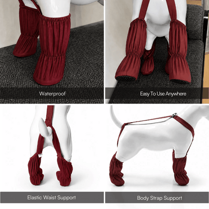 🎁Last Day 49% OFF | Pet Suspender Boots