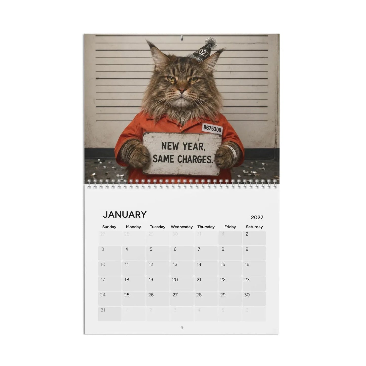 🔥Last Day 50% OFF - 😂Cat Criminal of the Day 2027