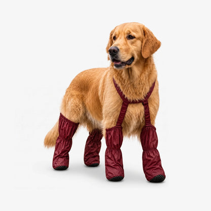 🎁Last Day 49% OFF | Pet Suspender Boots