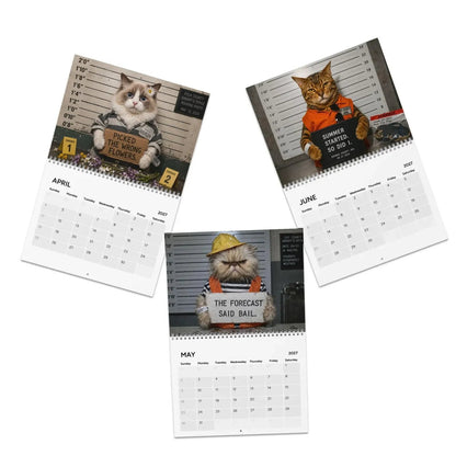 🔥Last Day 50% OFF - 😂Cat Criminal of the Day 2027
