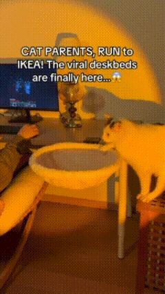 🔥Buy 1 Free Shipping🔥Desktop Cat Hammock — The Ultimate Feline Retreat for Your Workspace