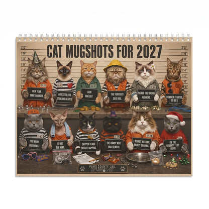 🔥Last Day 50% OFF - 😂Cat Criminal of the Day 2027