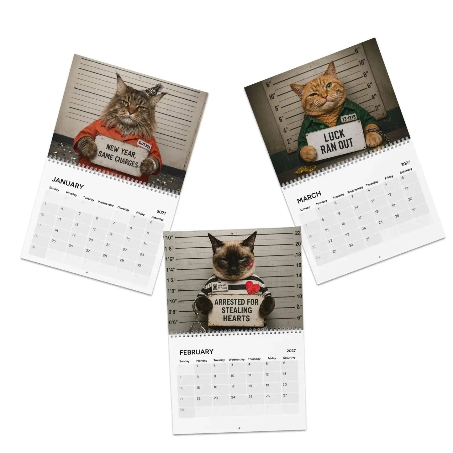 🔥Last Day 50% OFF - 😂Cat Criminal of the Day 2027